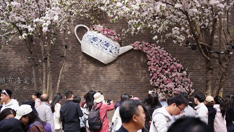 從「一枝春」到「滿庭芳」天津和平區舉辦第三屆五大道海棠花節打造全景沉浸式春日盛宴