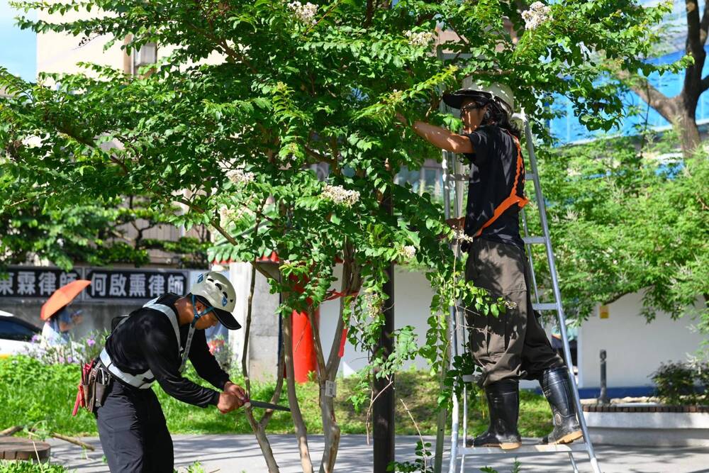 防颱超前部署 清潔隊總動員 清溝、路樹修剪