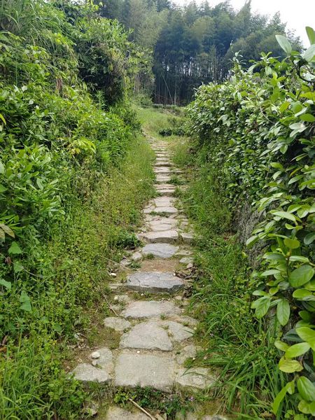 福鼎 大山古道