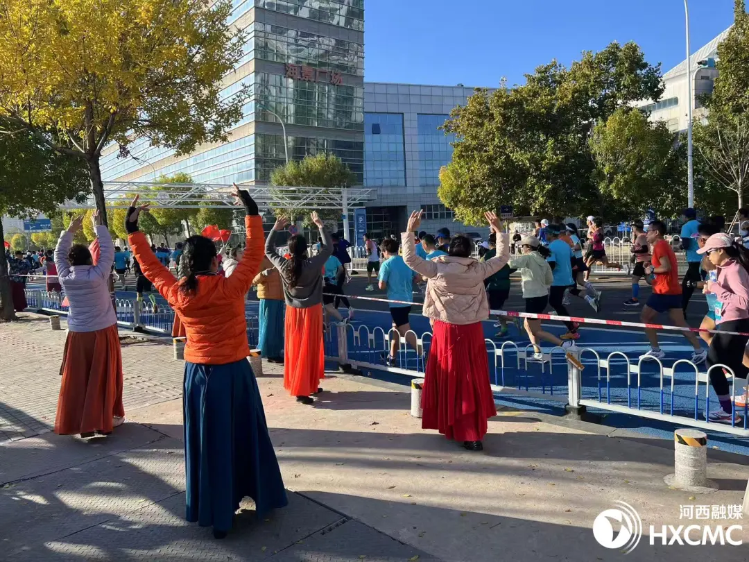 天馬馳騁海河西岸活力與溫情共繪城區畫卷