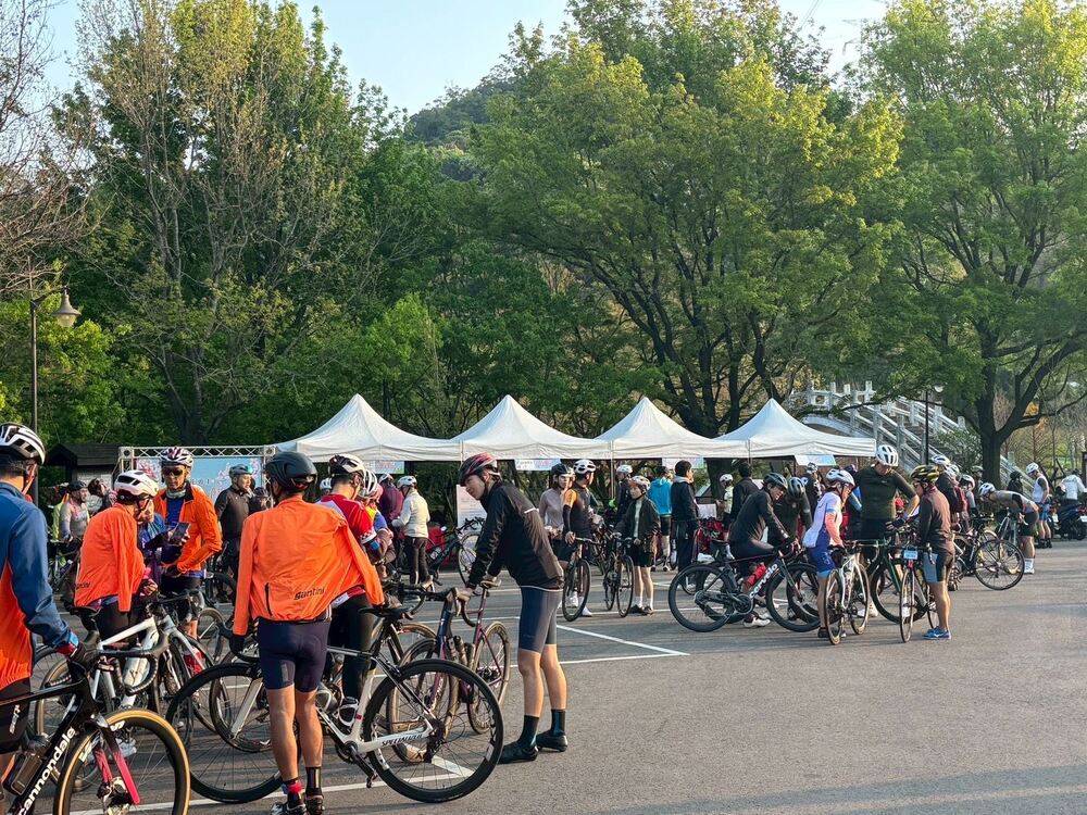 北橫櫻花季與櫻花勇士自行車活動 接力登場