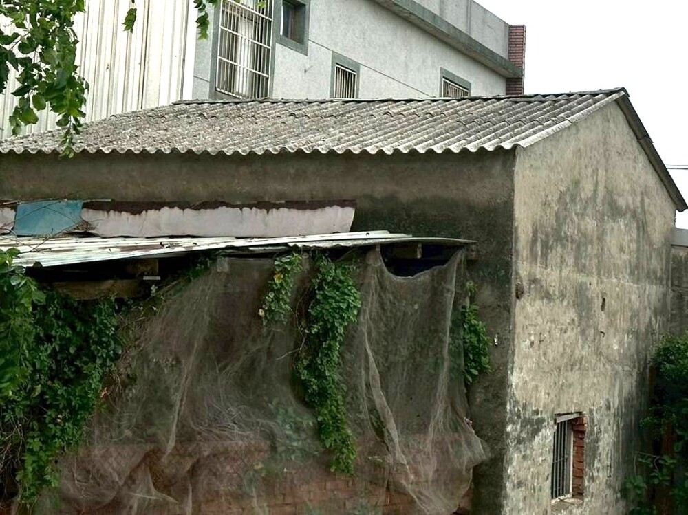 石綿建材廢棄物 市府提供清運服務