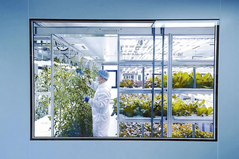 通州未來農場書寫智慧農業樣本